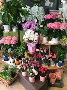 母の日|「花裕生花店」　（栃木県宇都宮市の花屋）のブログ